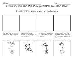 Check spelling or type a new query. Germination Worksheet Germination 2nd Grade Reading Worksheets Social Studies Worksheets