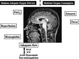 Maar direct alles open gooien, zal niet mogelijk zijn. Neuroprotection In Acute Brain Injury An Up To Date Review Abstract Europe Pmc