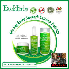 It relies on oils made in its roots to keep it moisturized. Ecoherbs Ginseng Serum Complete Set For Hair Loss Dandruff Dry Oily Scalp Damage Spoilage Hair Brittle Thin Hair Shopee Malaysia