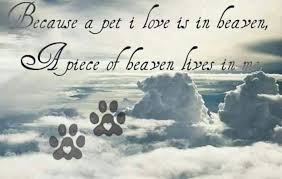 Remembrance Birthday Of A Dead Loved One Dog Heaven Poem Dog Heaven Pet Remembrance Pets