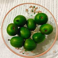 Image result for Actinidia