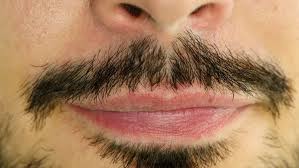 Perhaps males who spurn girls who have facial hair are missing something more astute males are aware of — women with high testosterone levels tend to be yes it is. Shutterstock