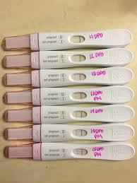 Pregnancy Test Line Progression First Response Pregnancy Test