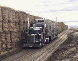 820 Fancy Big Rigs Ideas In 2021 Big Trucks Trucks Big Rig Trucks