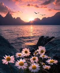 A Sunset View In Queenstown A Resort Town At The Queenstown Lakes District Otago Region New Zealand With Images Nature Photography Beautiful Nature Nature Pictures