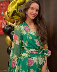 Tripti Dimri Wiki, Biography, Career, Age, Net Worth, Boyfriend, Family &  More - Talk To Iconic