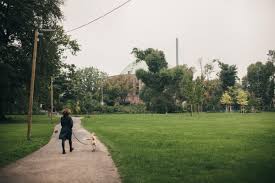 Get phone, address, email & more. Ein Tag Mit Michael Becker The Dorf