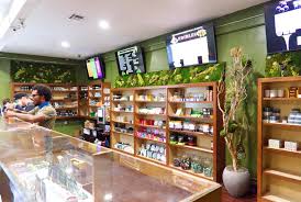 We welcome your continued commitment to participate in our network and encourage new providers to join us in our mission to help people live their lives to the fullest potential. Exotic Plants We Gave Valley Health Options A Moss Art Facebook
