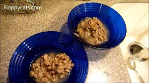 Cat food recipes for tasty fish entrees. Nature S Variety Pride By Instinct Sherlock S Salmon Recipe Minced Canned Cat Food Floppycats Youtube