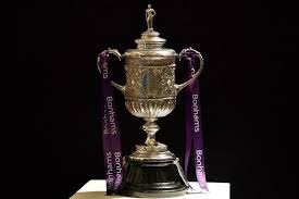 Great savings & free delivery / collection on many items. Manchester City Acquires Oldest Existing Fa Cup Trophy Sports China Daily