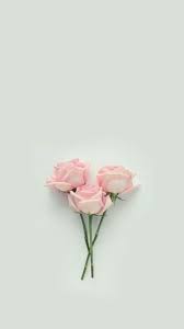 Pastel Aesthetic Rose Wallpapers On Wallpaperdog In 2021 Flower Wallpaper Rose Pink Wallpaper Gold Wallpaper Iphone