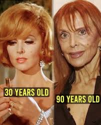 Middle Aged And Boomers United