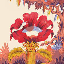 What is this thing called love? Picturebook Makers Melissa Castrillon