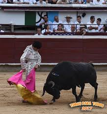 RICARDO RIVERA TOROS PARA... - Temporada Toros para Todos | Facebook