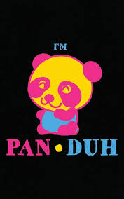 3yr · makayladee · r/lgbt. I M Pan Duh Pansexual Notebook Funny Gay Pride Gift A Panda Lgbt Journal Duh Pan 9781087009056 Amazon Com Books