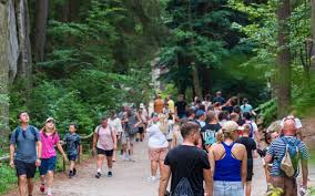 Photo tourons » : les images de sa randonnée à Sequoia font le tour d ...