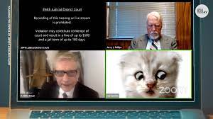 Select the filter, and your video feed will transform. Zoom Cat Filter Fail Lawyer Appears In Court As A Kitten In Snafu