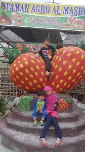 *semua gambar dalam album ini diambil di cameron highlands. Mrkumai Blogspot Com Tempat Menarik Di Cameron Highlands Yang Wajib Anda Pergi