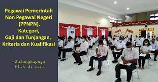 Pegawai Pemerintah Non Pegawai Negeri Ppnpn Kategori Gaji Dan Tunjangan Kriteria Dan Kualifikasi Wartapegawai