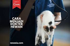 10 Cara Menjadi Dokter Hewan Yang Perlu Kamu Ketahui
