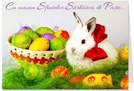 Vezi 6 filme de animaţie cu ouă şi iepuraşi, desene de paşte online. Pin On Felicitari Personalizate Cartonate