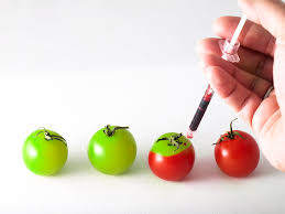 Of course, genetic modification needs to be used with great care, with regulations in place to ensure it's used safely and effectively. Diy Bio And Genetic Modification Techniques Waag