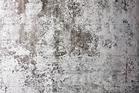 5184x3456 white wall, clean, monstera monday, decor, house, home, plant, apartment, monstera, background, wallpaper, house plant, blank space, wall, interior, white, nature, empty, png images. Free Photo Grunge White Wall Texture Concrete Damaged Details Free Download Jooinn