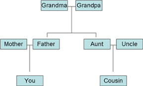 Need ancestry or dna related assistance? Understanding Genetics