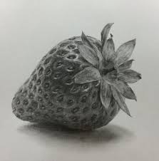 A realistic looking shaded drawing of just about any object is fairly difficult to make. Draw A Strawberry In Pencil Fruit Art Drawings Pencil Drawings Art Sketches