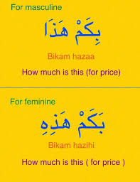 Learning Arabic Msa Fabienne Arabic Language Learning Arabic Learn Arabic Language