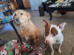 I recently moved to Clay Center a couple months ago from out of state. My  current car insurance company doesn't cover the state of Kansas. Which car  insurance company do you recommend