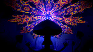 Abracadabra Magic Mushrooms Psychedelic Wallpaper Andrei Verner