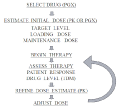 drug prescribing flow chart showing the potential