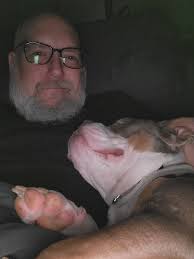 Great Danes as Service Dogs: Temperament and Public Acceptance