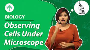 The high resolving power makes the electron microscope a very important research tool in microbiology. Observing Cell Under Microscope Cell Structure Function Biology Class 9 Youtube