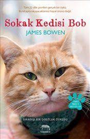Sokak Kedisi Bob James Bowen Kitap Yavru Kediler Kedi