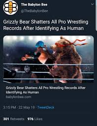 See more ideas about bear, bear meme, funny animals. Grizzly Bear Shatters All Pro Wrestling Records After Identifying As Human The Babylon Bee Know Your Meme