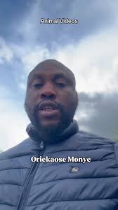 Escape the Animal Video Overload and Enjoy Nature's Beauty