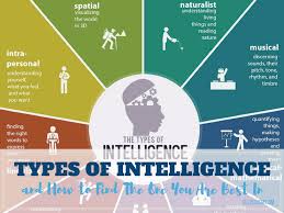 Types Of Intelligence And How To Find The One You Are Best