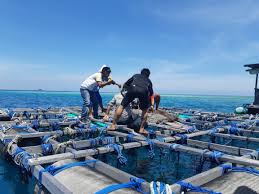 Bagaimana potensi dalam pengembangan kawasan pesisir sebagai pusat budaya kawasan pesisir merupakan wilayah peralihan antara daratan dan perairan laut. Lima Rekomendasi Untuk Pembangunan Pesisir Dan Laut Di Rpjmd Sulsel Mongabay Co Id Mongabay Co Id