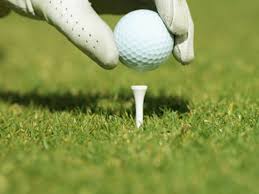 We did not find results for: 10 Uses For Golf Tees This Old House