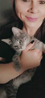 Lost and Found Pets of Madison County, Illinois RESCUERS WELCOME