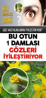 Her Turlu Goz Hastaligini Tedavi Ettigi Soylenen Sifali Ot Natural Treatments Natural Health Remedies Health
