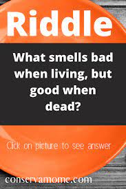 Tricky Riddles And Brain Teasers Brain Teasers Funny Brain Teasers Tricky Riddles