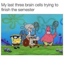 Funniest Spongebob Memes Of October 2018 Spongebob Patrick And Squidward Funny Memes Funny Spongebob Memes Funny School Memes Spongebob Funny