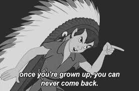 Image result for "Peter Pan"; Fairies,lost boys,mermaids,pirates,Indians!
