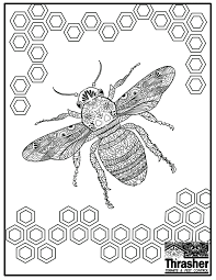 Leave a comment below and share with us! Bee Coloring Page Thrasher Termite Pest Control