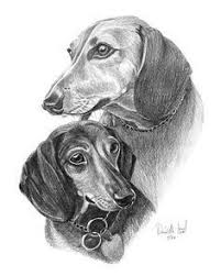 Black And White Dachshund Drawing Pencil Dachshunds By Dave The Drawing Guy Dachshund Painting Dachshund Drawing Dachshund Dog
