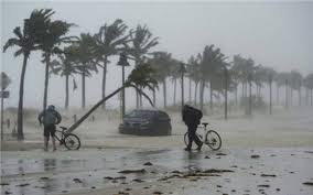 Image result for bÃ£o