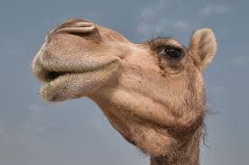 Pin On Every Country Has A Story J R